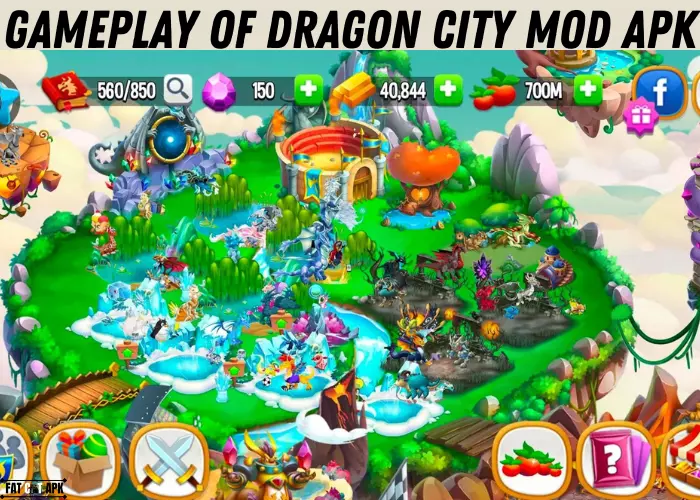 Gameplay of Dragon City MOD APK